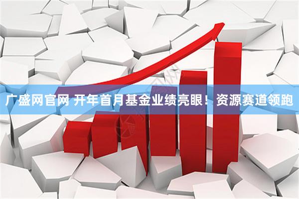 广盛网官网 开年首月基金业绩亮眼！资源赛道领跑
