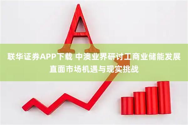 联华证券APP下载 中澳业界研讨工商业储能发展直面市场机遇与现实挑战
